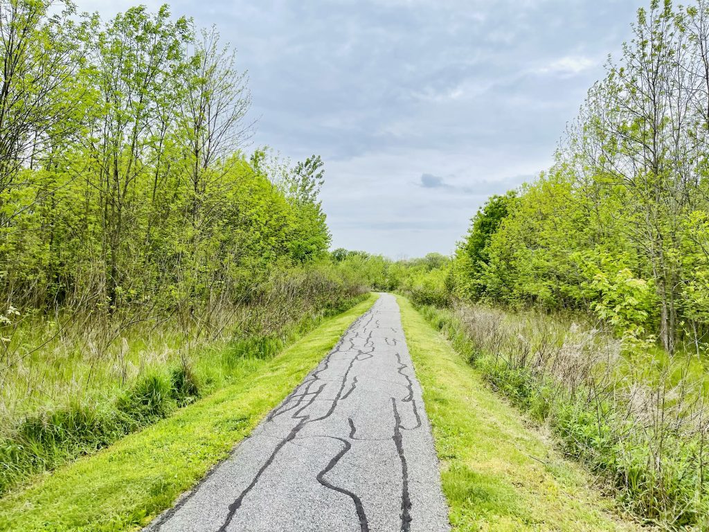 Close-up of Silver Creek Park Hidden Trails