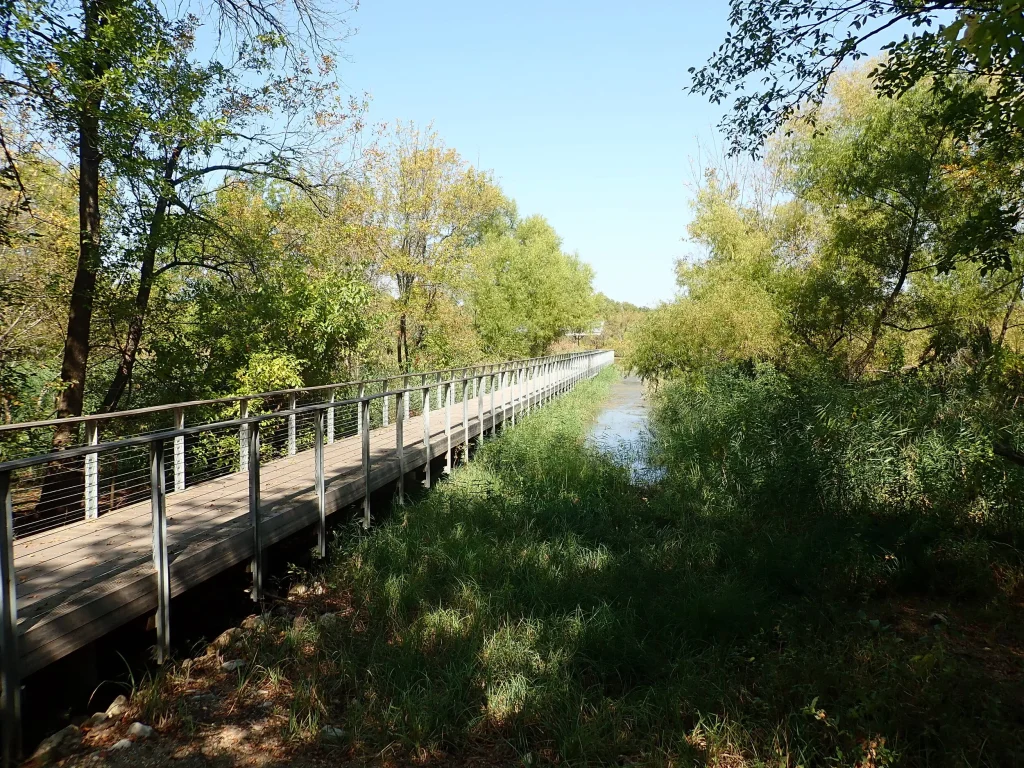 A scenic boardwalk path winding through the lush wetlands and forests of the Fort Worth Nature Center & Refuge near Azle, Texas.